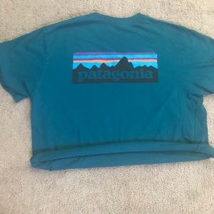 Patagonia Cropped Tee